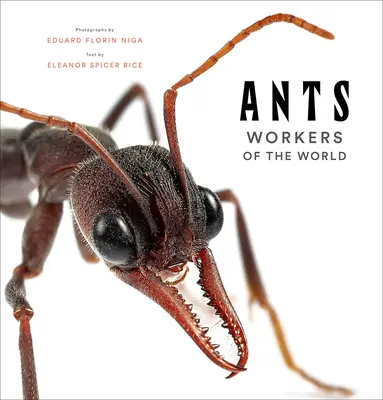 Fourmis : Les travailleurs du monde - Ants: Workers of the World