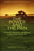 Le pouvoir et la douleur : transformer les difficultés spirituelles en joie - The Power and the Pain: Transforming Spiritual Hardship Into Joy