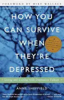 Comment survivre quand ils sont déprimés : Vivre et faire face aux retombées de la dépression - How You Can Survive When They're Depressed: Living and Coping with Depression Fallout