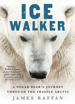 Le marcheur des glaces : Le voyage d'un ours polaire dans l'Arctique fragile - Ice Walker: A Polar Bear's Journey Through the Fragile Arctic