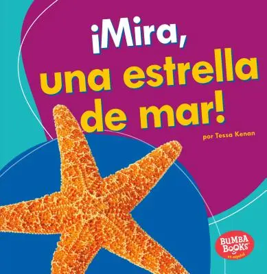 Mira, Una Estrella de Mar ! (Regarde, une étoile de mer !) - Mira, Una Estrella de Mar! (Look, a Starfish!)