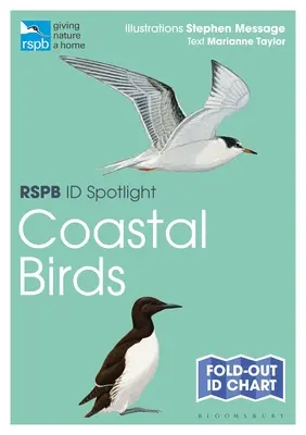 Rspb Id Spotlight - Oiseaux de la côte - Rspb Id Spotlight - Coastal Birds