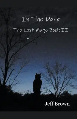 Dans l'obscurité : Le Dernier Mage Livre II - In The Dark: The Last Mage Book II