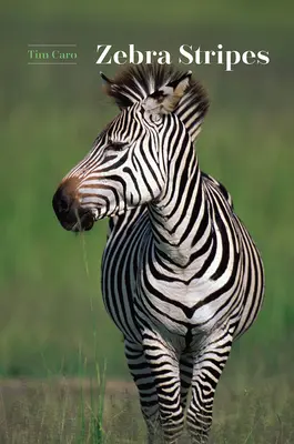 Rayures zébrées - Zebra Stripes