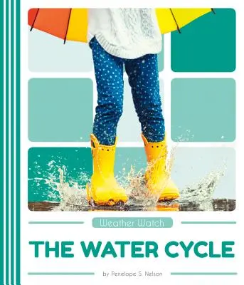 Le cycle de l'eau - The Water Cycle