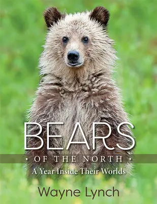 Les ours du Nord : Une année dans leur monde - Bears of the North: A Year Inside Their Worlds