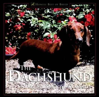 Le Teckel : Un chien pour la ville et la campagne - The Dachshund: A Dog for Town and Country