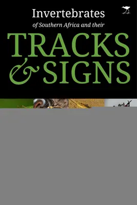 Invertébrés d'Afrique australe et leurs traces et signes - Invertebrates of Southern Africa & Their Tracks and Signs