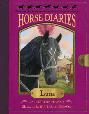 Journal du cheval #12 : Luna - Horse Diaries #12: Luna