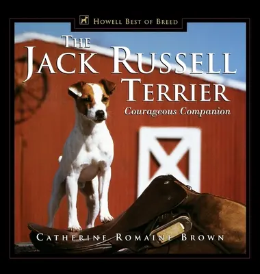 Le terrier Jack Russell : Un compagnon courageux - The Jack Russell Terrier: Courageous Companion
