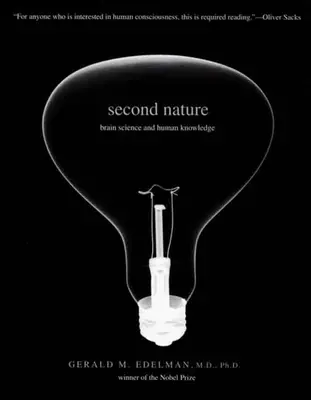Second Nature : La science du cerveau et la connaissance humaine - Second Nature: Brain Science and Human Knowledge