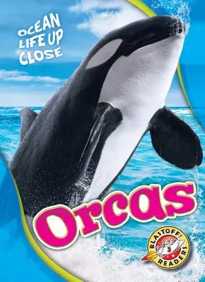 Orques - Orcas