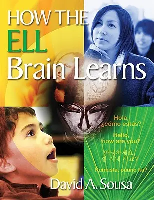 L'apprentissage du cerveau Ell - How the Ell Brain Learns