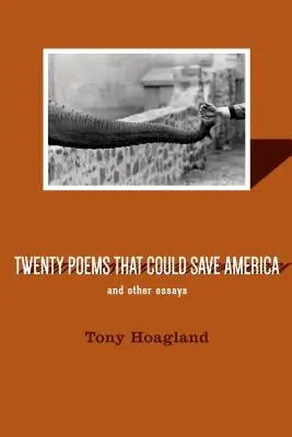 Vingt poèmes qui pourraient sauver l'Amérique et autres essais - Twenty Poems That Could Save America and Other Essays