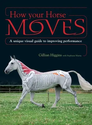 Comment votre cheval se déplace : Un guide visuel unique pour améliorer les performances - How Your Horse Moves: A Unique Visual Guide to Improving Performance