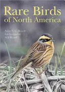 Oiseaux rares d'Amérique du Nord - Rare Birds of North America