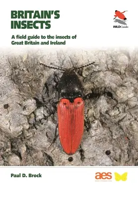 Les insectes de Grande-Bretagne : Un guide de terrain pour les insectes de Grande-Bretagne et d'Irlande - Britain's Insects: A Field Guide to the Insects of Great Britain and Ireland