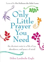 La seule petite prière dont vous avez besoin : Le chemin le plus court vers une vie de joie, d'abondance et de paix de l'esprit - Only Little Prayer You Need: The Shortest Route to a Life of Joy, Abundance, and Peace of Mind