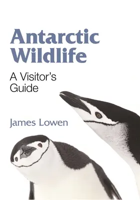 La faune de l'Antarctique : Guide du visiteur - Antarctic Wildlife: A Visitor's Guide