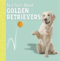 Quelques faits sur les Golden Retrievers - Fast Facts About Golden Retrievers