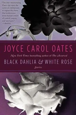 Le Dahlia noir et la Rose blanche - Black Dahlia & White Rose