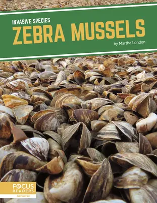 Moules zébrées - Zebra Mussels