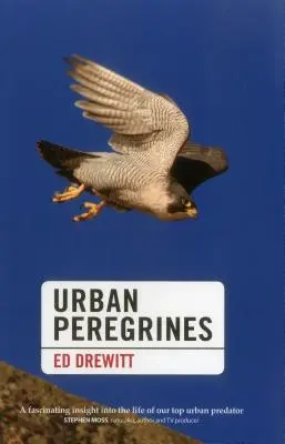 Pèlerins urbains - Urban Peregrines