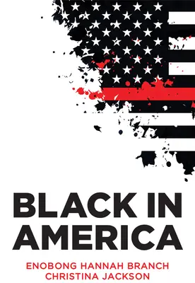 Noirs en Amérique : Le paradoxe de la ligne de couleur - Black in America: The Paradox of the Color Line