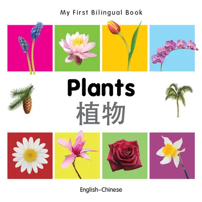 Mon premier livre bilingue - Plantes (anglais-chinois) - My First Bilingual Book-Plants (English-Chinese)