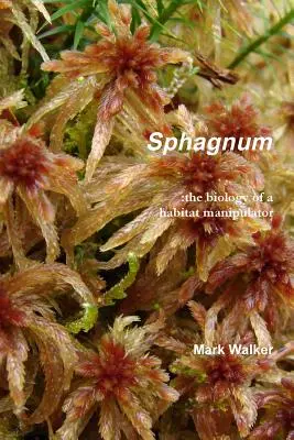 Sphaigne - Sphagnum