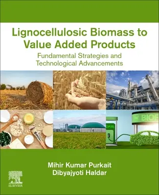 De la biomasse lignocellulosique aux produits à valeur ajoutée : Stratégies fondamentales et avancées technologiques - Lignocellulosic Biomass to Value-Added Products: Fundamental Strategies and Technological Advancements