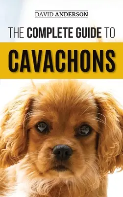 Le guide complet du Cavachon : Le choix, le dressage, l'éducation, l'alimentation et l'amour de votre chien Cavachon - The Complete Guide to Cavachons: Choosing, Training, Teaching, Feeding, and Loving Your Cavachon Dog