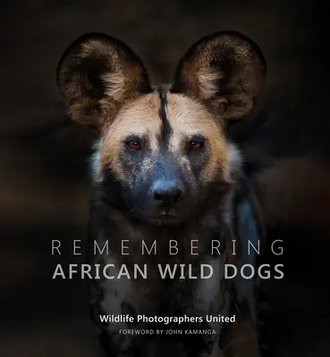 Se souvenir des chiens sauvages d'Afrique - Remembering African Wild Dogs