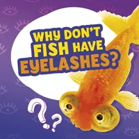 Pourquoi les poissons n'ont-ils pas de cils ? - Why Don't Fish Have Eyelashes?