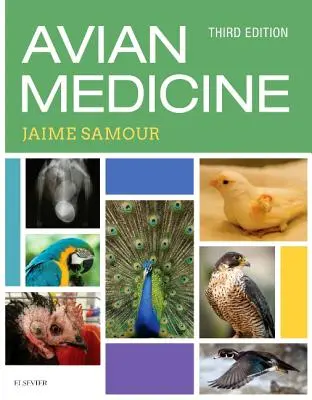 Médecine aviaire - Avian Medicine