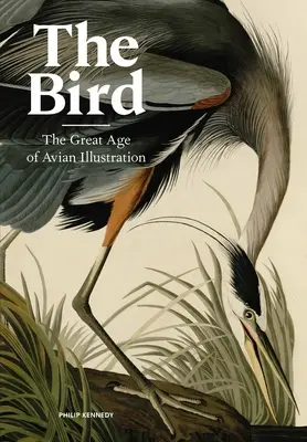 L'oiseau : Le grand âge de l'illustration aviaire - The Bird: The Great Age of Avian Illustration