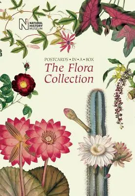 La collection Flora : Cartes postales dans une boîte - The Flora Collection: Postcards in a Box