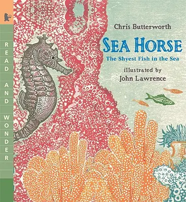 L'hippocampe : le poisson le plus timide de la mer - Sea Horse: The Shyest Fish in the Sea