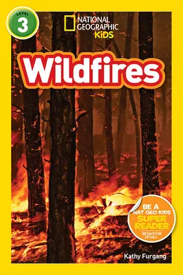 Les feux de forêt - Wildfires