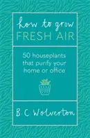 Comment faire pousser de l'air frais - 50 plantes d'intérieur pour purifier votre maison ou votre bureau - How To Grow Fresh Air - 50 Houseplants To Purify Your Home Or Office