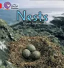 Nids - Nests