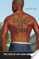 The Gang's All Queer : The Lives of Gay Gang Members (La vie des membres de gangs gays) - The Gang's All Queer: The Lives of Gay Gang Members