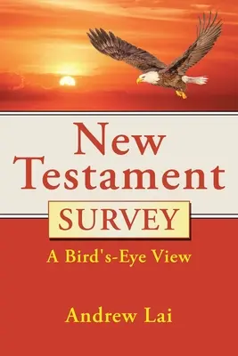 Enquête sur le Nouveau Testament : Une vue d'ensemble - New Testament Survey: A Bird's-Eye View
