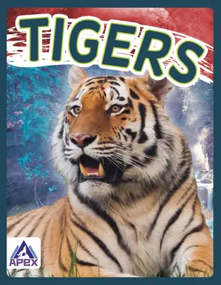 Tigres - Tigers