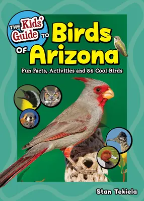 Guide des oiseaux de l'Arizona pour les enfants : Faits amusants, activités et 88 oiseaux sympas - The Kids' Guide to Birds of Arizona: Fun Facts, Activities and 88 Cool Birds