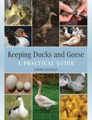 L'élevage des canards et des oies : un guide pratique - Keeping Ducks and Geese - A Practical Guide