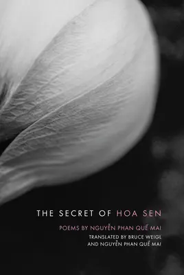 Le secret de Hoa Sen - The Secret of Hoa Sen