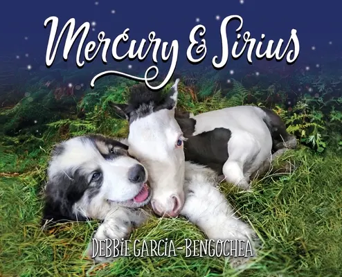 Mercure et Sirius - Mercury & Sirius