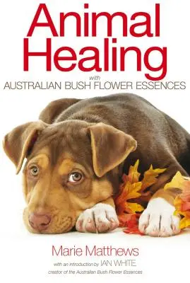 Guérison des animaux avec les essences de fleurs du Bush australien - Animal Healing with Australian Bush Flower Essences