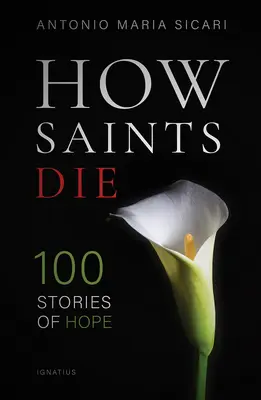 Comment meurent les saints : 100 histoires d'espoir - How Saints Die: 100 Stories of Hope